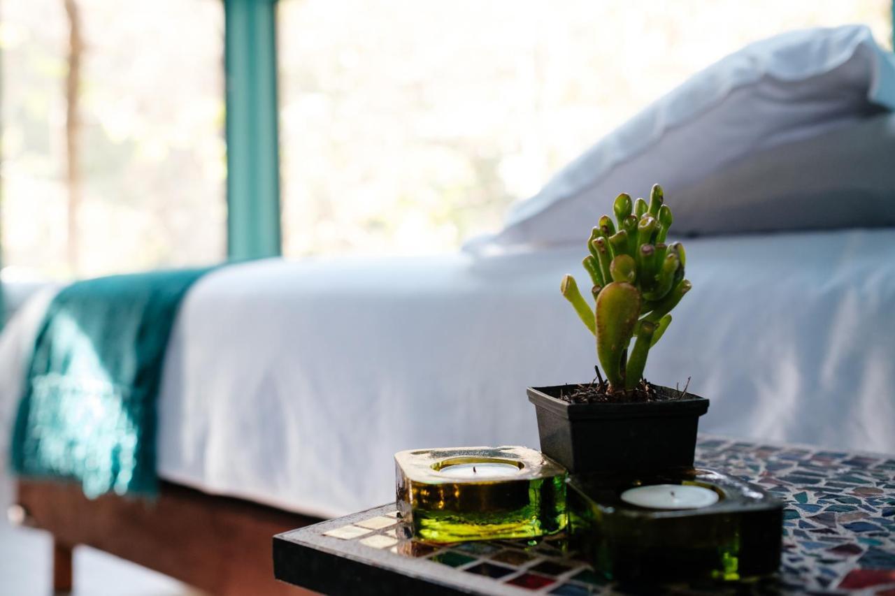 Equilibrium Healing Resort Cabo Corrientes Ngoại thất bức ảnh
