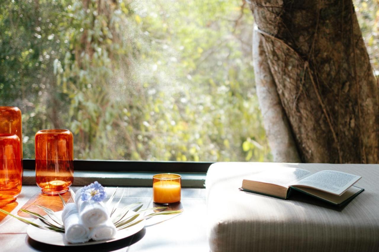 Equilibrium Healing Resort Cabo Corrientes Ngoại thất bức ảnh