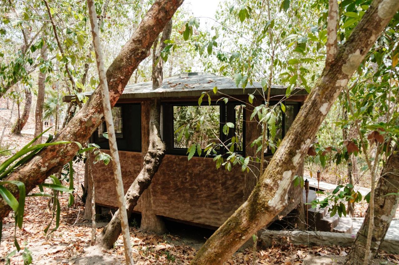 Equilibrium Healing Resort Cabo Corrientes Ngoại thất bức ảnh